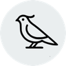 Quail AI logo